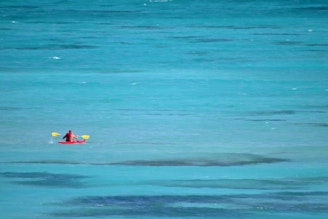 dry-tortugas-kayak_Elizabeth-Nicodemus.jpg
